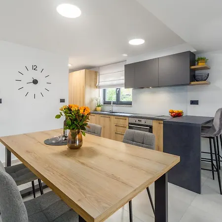 Apartment Olive Premium